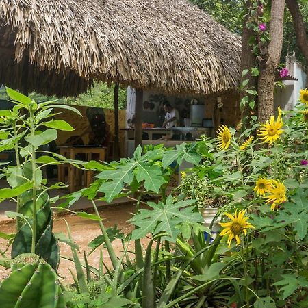 Hostel Hipilandia Таганга Екстер'єр фото