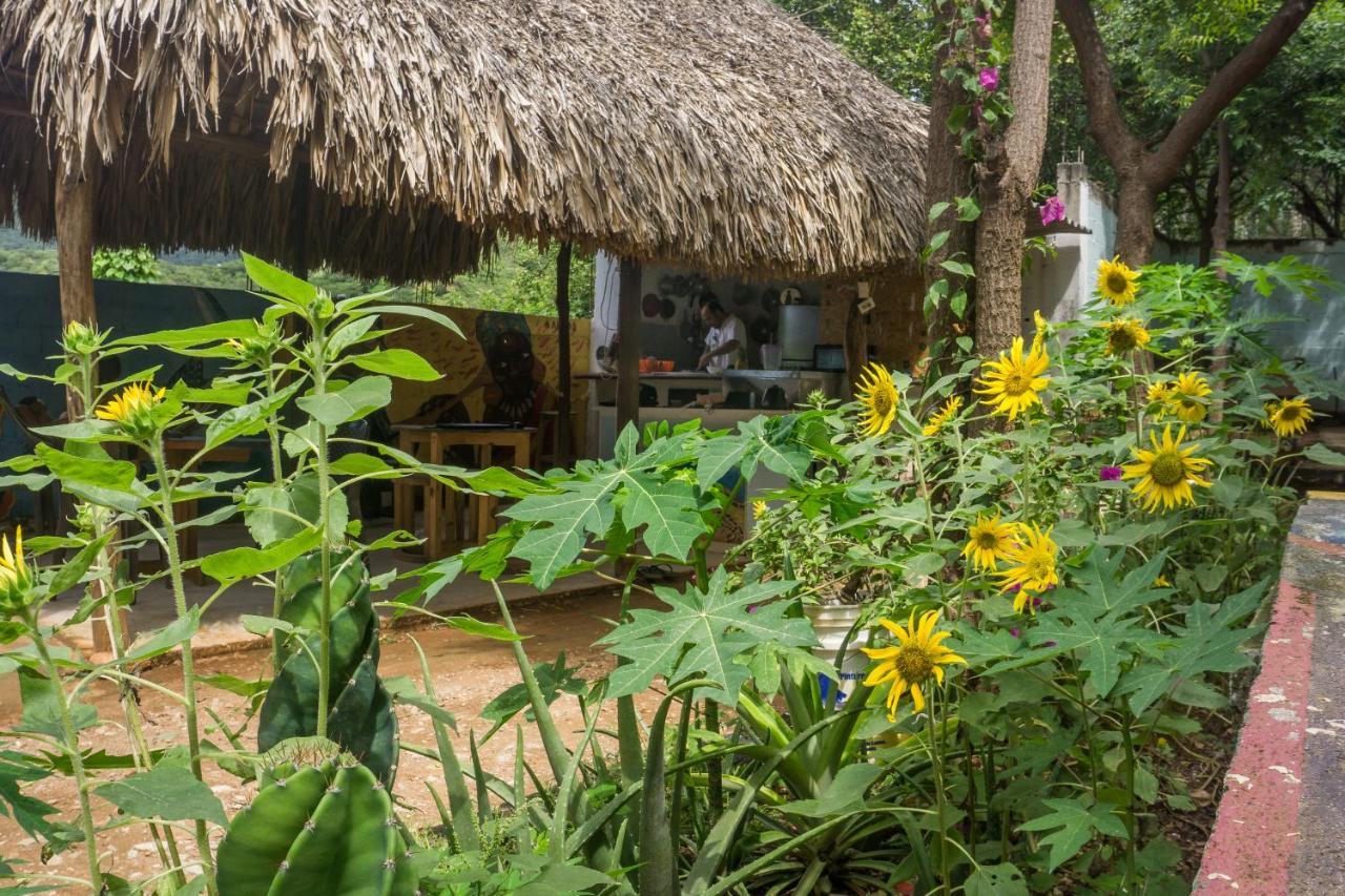 Hostel Hipilandia Таганга Екстер'єр фото