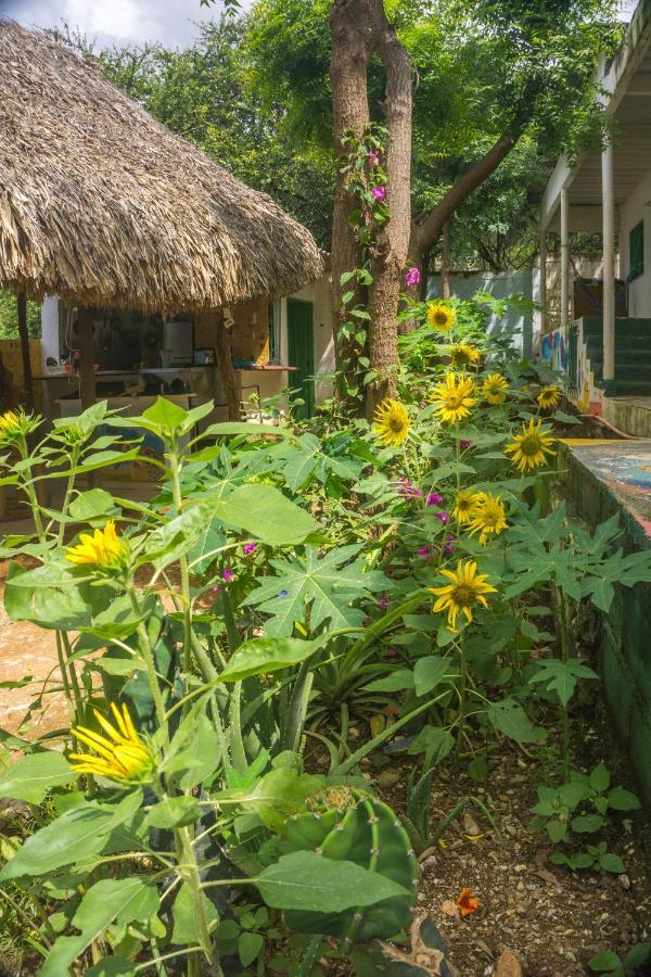 Hostel Hipilandia Таганга Екстер'єр фото